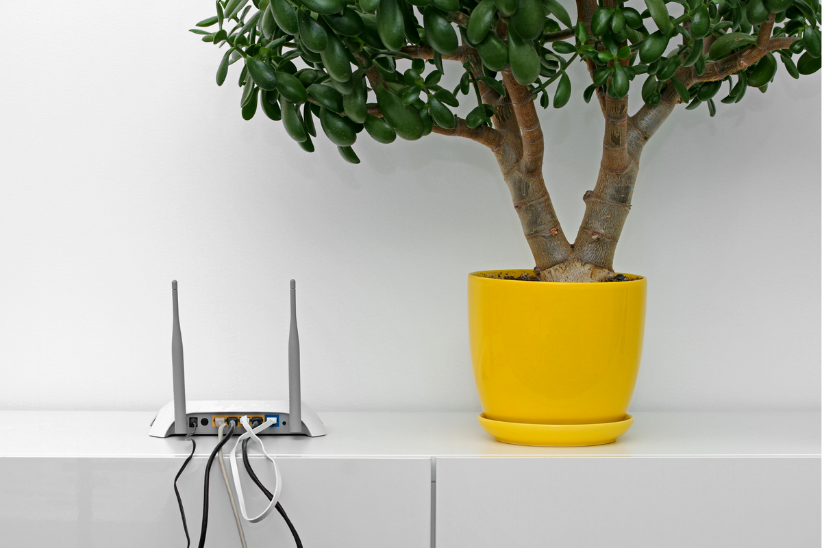 BREAKTHROUGH IN WI-FI PROTECTION: ROUTER PROTECT — EMR Shielding Solutions